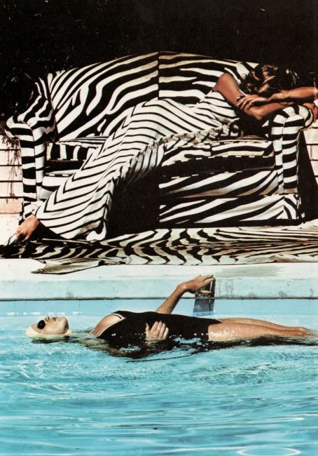 newton 1970s zebra